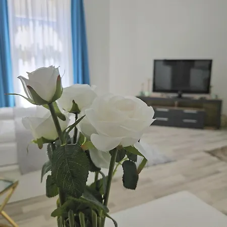 Designer Downtown Gem Appartement